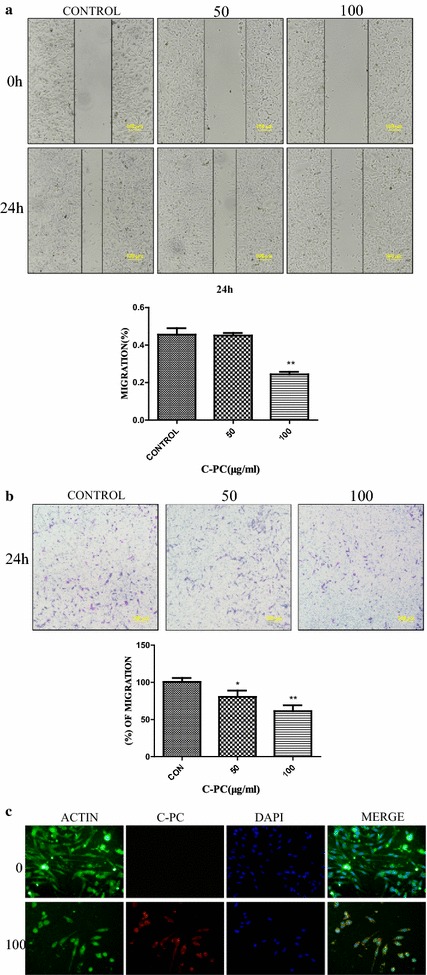 Fig. 4