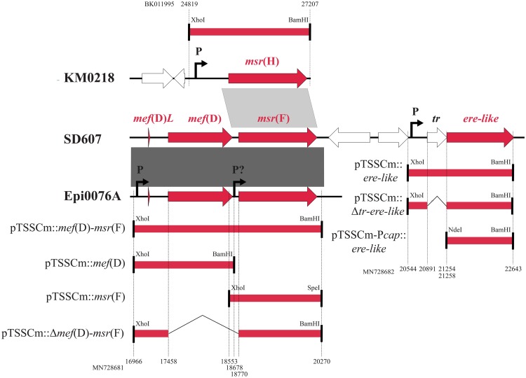 FIG 2