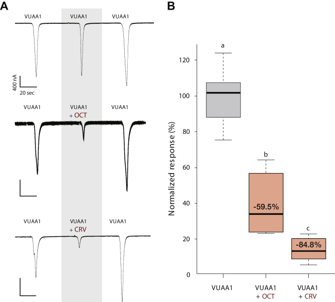 Figure 4