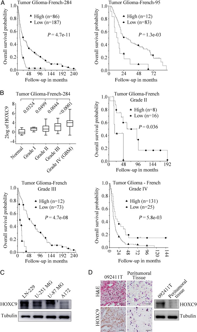 Fig. 1.