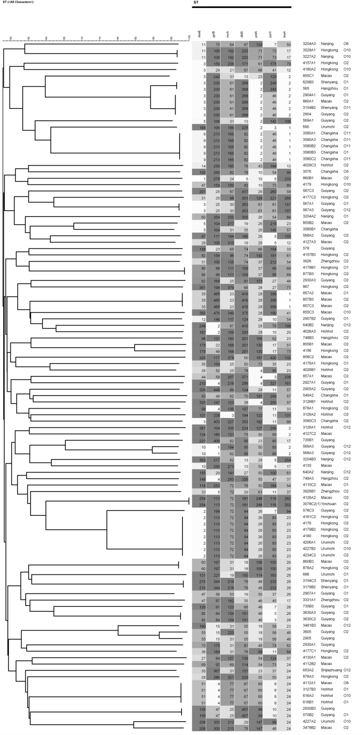 FIGURE 2