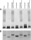 FIG. 5.