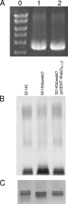 FIG. 4.
