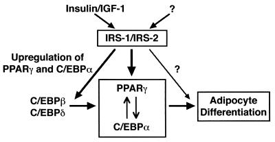 FIG. 9