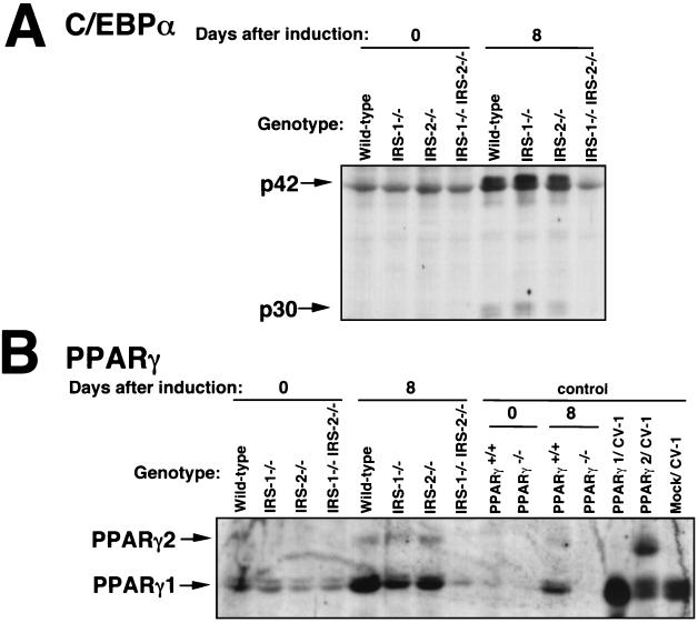 FIG. 6