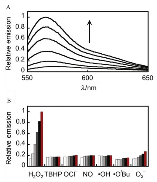 Figure 2.3