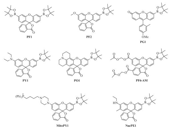 Figure 2.1