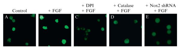 Figure 2.6