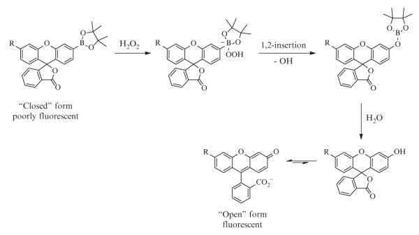 Figure 2.2