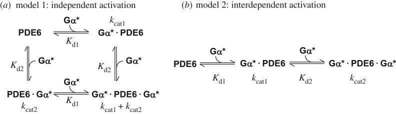 Scheme 1.