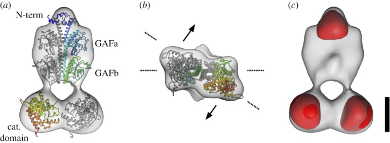 Figure 4.