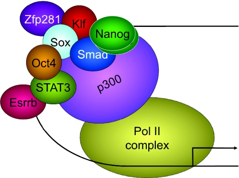 Fig. 6.