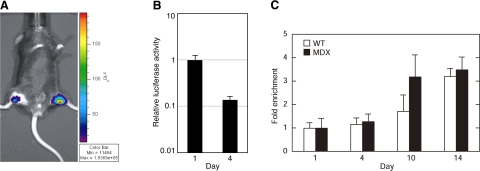 Figure 5.