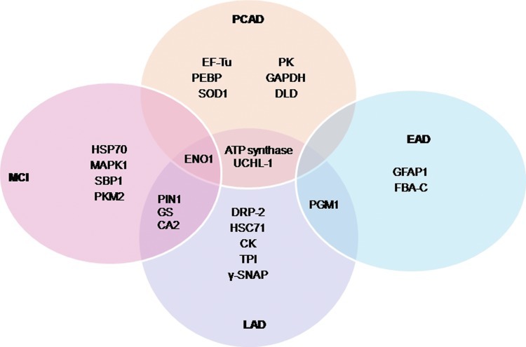 FIG. 14.