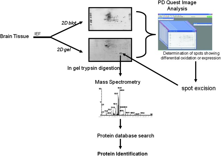 FIG. 10.