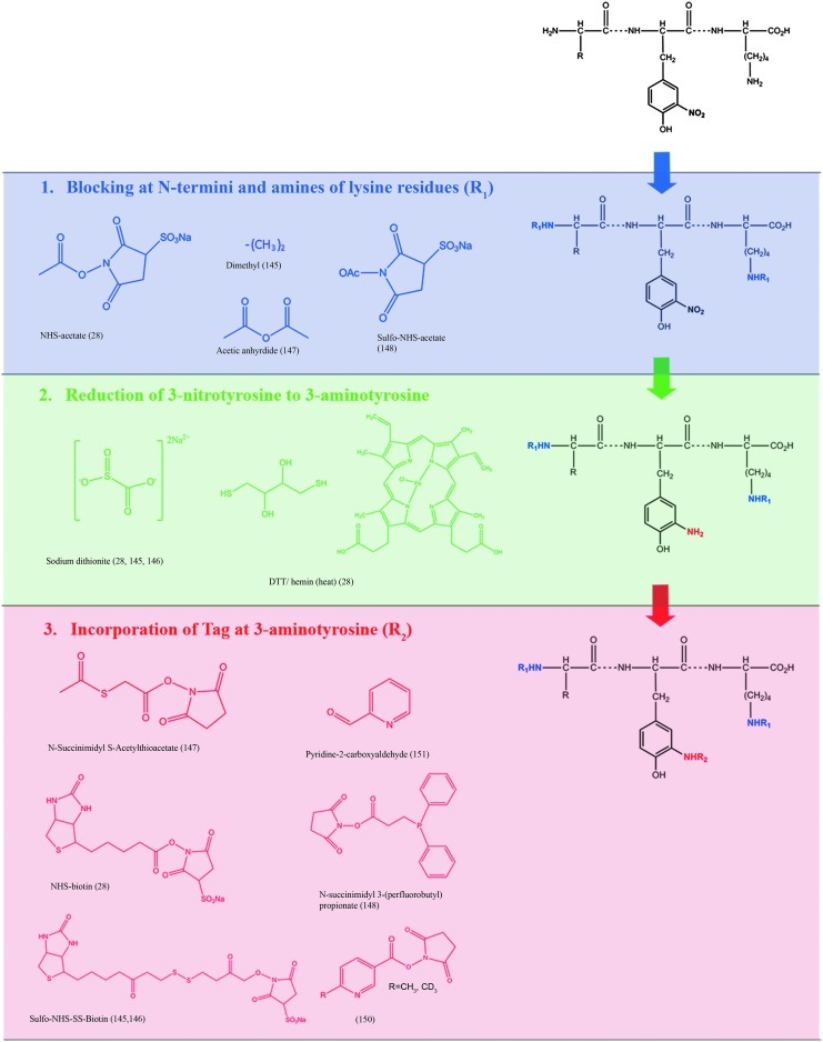 FIG. 12.