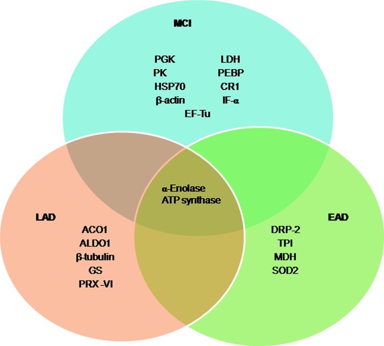 FIG. 13.