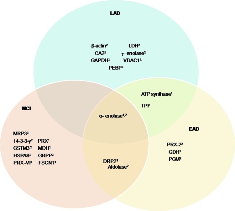 FIG. 15.