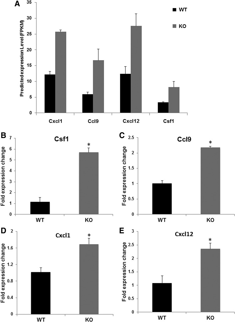 FIG. 4.