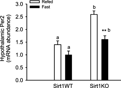 Fig. 9.