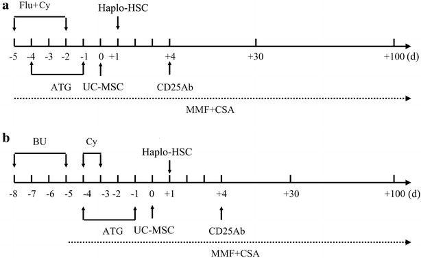 Fig. 1