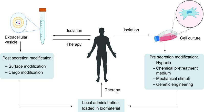 Figure 2. 