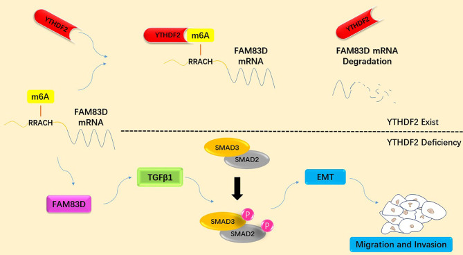 Graphical Abstract