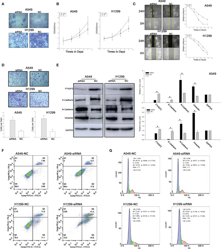 Figure 2