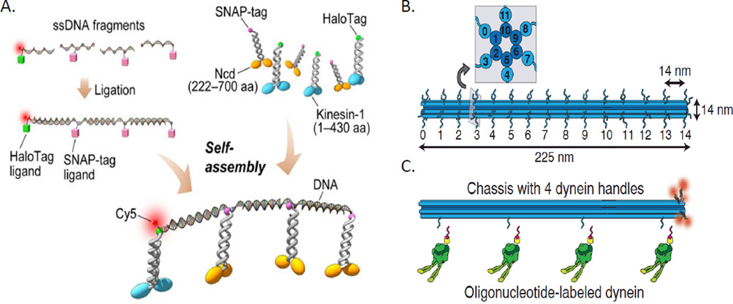 Figure 5