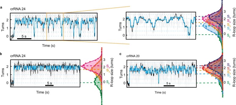 Extended Data Fig. 5