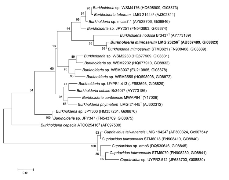 Figure 3a