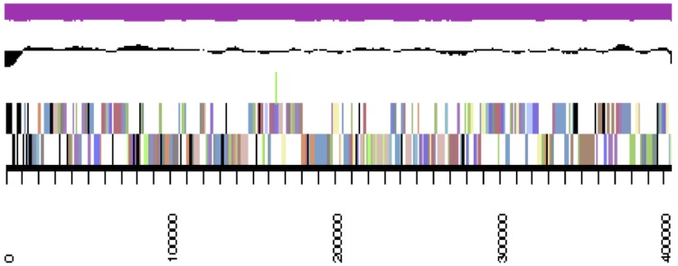 Figure 3b