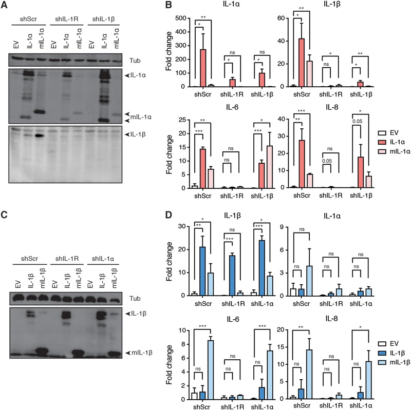 FIG 6