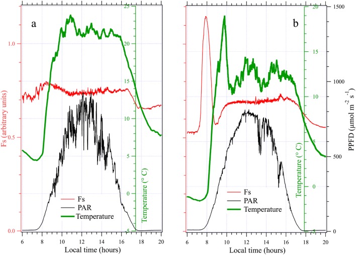 Fig. 10