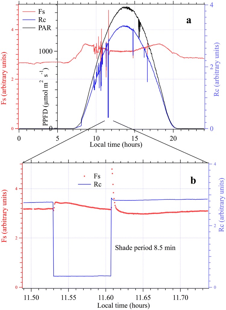 Fig. 6