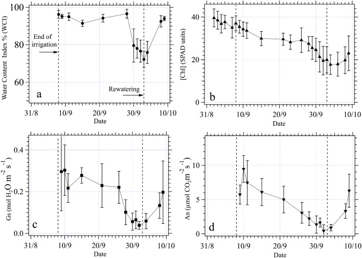 Fig. 7