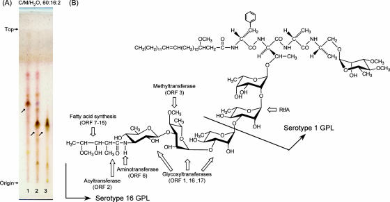 FIG. 8.