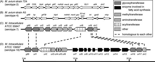 FIG. 7.