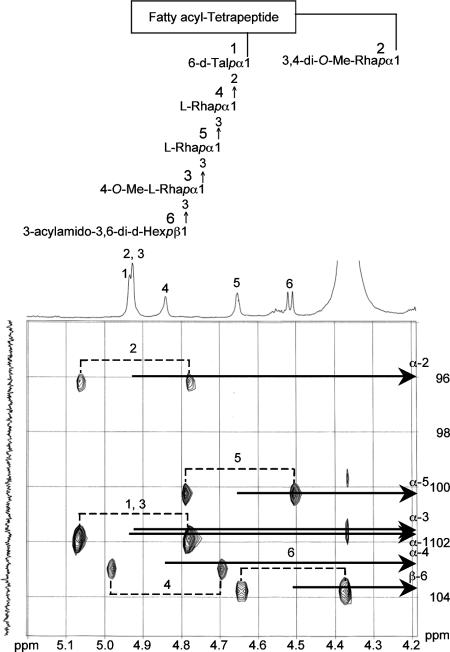 FIG. 6.