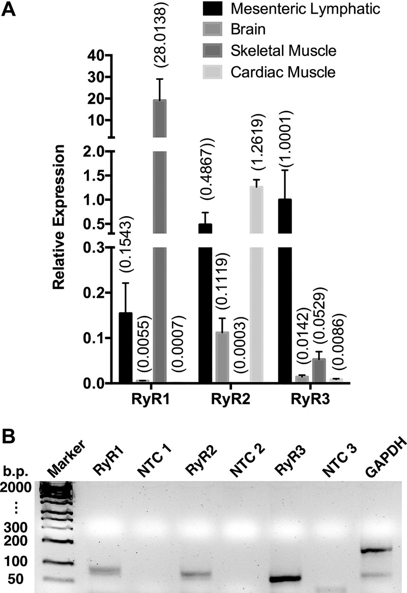 Fig. 8.