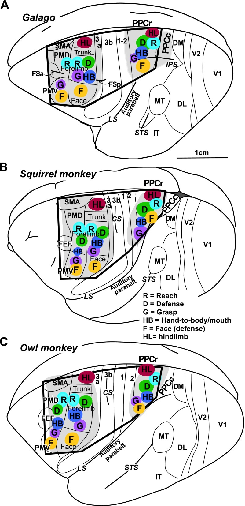 Fig. 2.