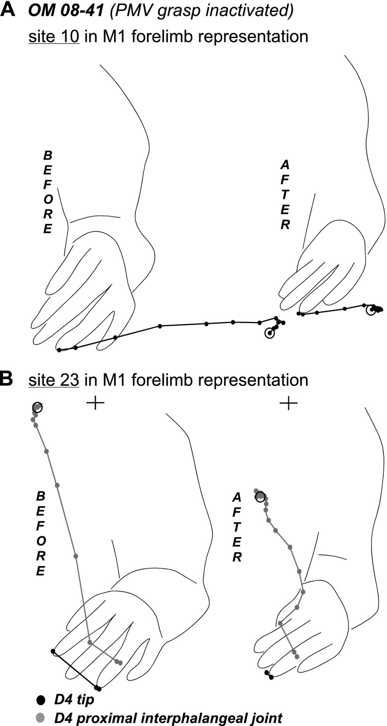 Fig. 12.