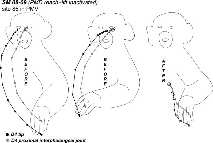 Fig. 10.