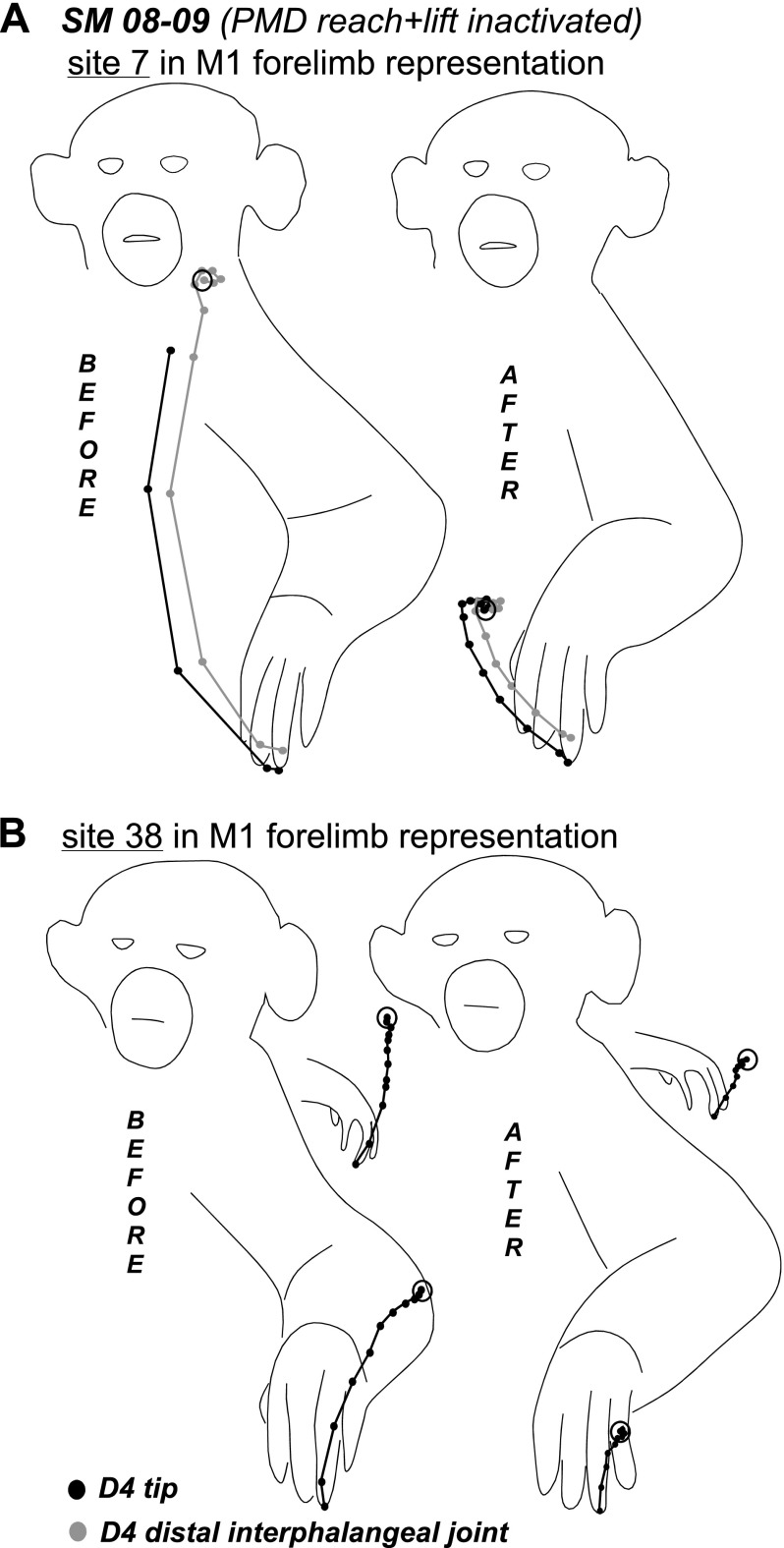 Fig. 8.