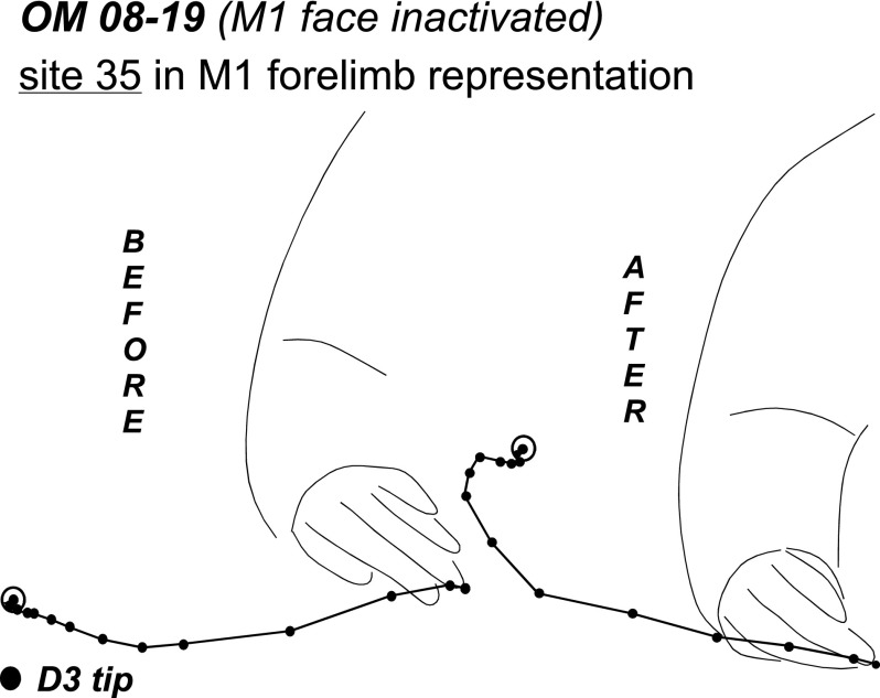 Fig. 6.