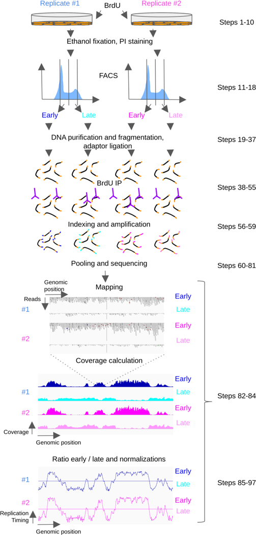 Figure 1: