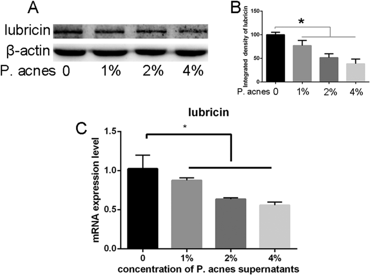 Figure 6