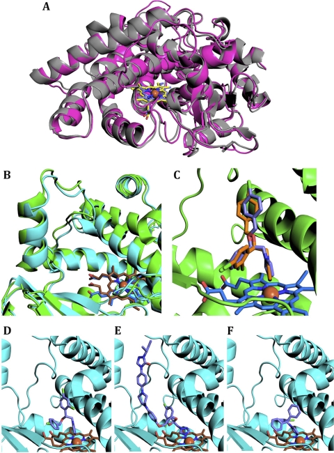 Fig 5