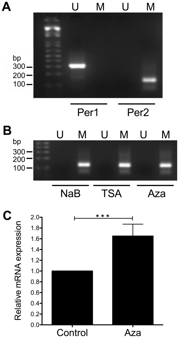 Figure 7.