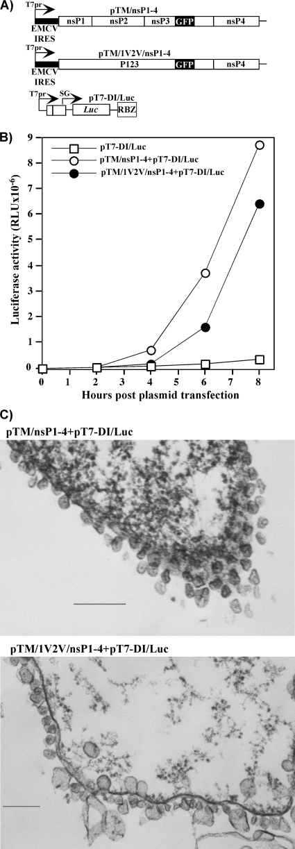 FIG. 11.